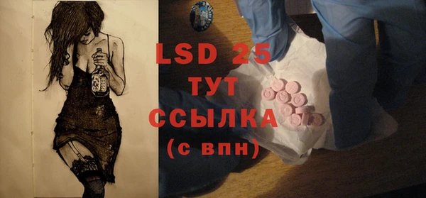сатива Новодвинск