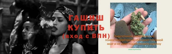 сатива Новодвинск