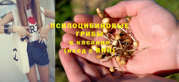 спайс Новозыбков