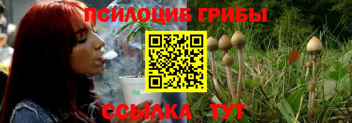 Сальск  Галлюциногенные грибы GOLDEN TEACHER  Вход с VPN 